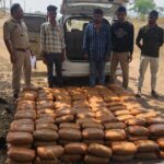 77877996-2dcf-4a94-b2f9-0e0ae7a1c905